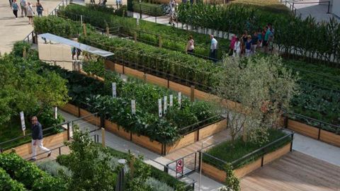 ©Thierry Laverne Paysagiste  Les 1 200 m2 du