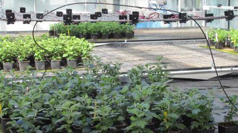 Après 20 ans d'expérimentations, Astredhor intègre en 2015 deux nouvelles thématiques à ses missions : « Économie et marchés » et « Agriculture urbaine ». ©Valérie Vidril Après 20 ans d'expérimentations, Astredhor intègre en 2015 deux nouvelles thématiques à ses missions : « Économie et marchés » et « Agriculture urbaine ». ©Valérie Vidril