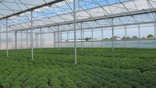 Le PCAE vise la performance économique et environnementale des exploitations agricoles, par la maîtrise des intrants et la protection des ressources naturelles, mais également la performance énergétique, et encourage les projets s'inscrivant dans une démarche agro-écologique. ©photo Valérie Vidril Le PCAE vise la performance économique et environnementale des exploitations agricoles, par la maîtrise des intrants et la protection des ressources naturelles, mais également la performance énergétiqu Le PCAE vise la performance économique et environnementale des exploitations agricoles, par la maîtrise des intrants et la protection des ressources naturelles, mais également la performance énergétique, et encourage les projets s'inscrivant dans une démarche agro-écologique. ©photo Valérie Vidril Le PCAE vise la performance économique et environnementale des exploitations agricoles, par la maîtrise des intrants et la protection des ressources naturelles, mais également la performance énergétiqu