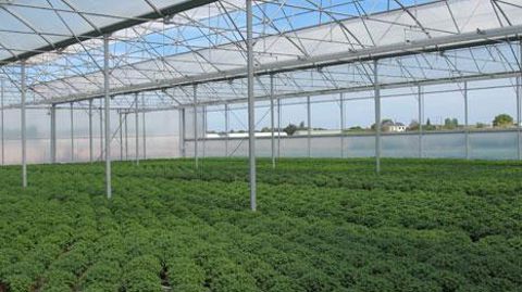 Le PCAE vise la performance économique et environnementale des exploitations agricoles, par la maîtrise des intrants et la protection des ressources naturelles, mais également la performance énergétique, et encourage les projets s'inscrivant dans une démarche agro-écologique. ©photo Valérie Vidril Le PCAE vise la performance économique et environnementale des exploitations agricoles, par la maîtrise des intrants et la protection des ressources naturelles, mais également la performance énergétiqu