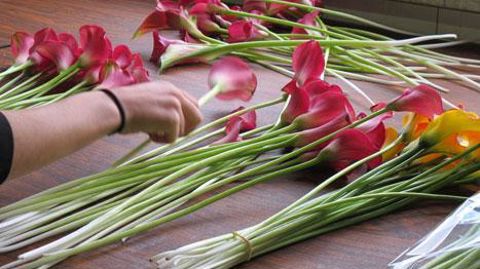 Si l'organisme néerlandais VGB note une évolution contrastée des exportations au premier semestre vers le reste de l'Europe, la demande demeure soutenue en France. © Valérie Vidril  Si l'organisme néerlandais VGB note une évolution contrastée des exportations au premier semestre vers le reste de l'Europe, la demande demeure soutenue en France. © Valérie Vidril 