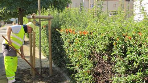 « Du pulvérisateur à la binette, un véritable bouleversement de nos pratiques » : tel sera l'un des thèmes des assises régionales de la région Centre, à Chartres (28). (c)Pascal Fayolle « Du pulvérisateur à la binette, un véritable bouleversement de nos pratiques » : tel sera l'un des thèmes des assises régionales de la région Centre, à Chartres (28). (c)Pascal Fayolle