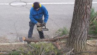 Le CAP rénové doit, à partir de cette rentrée, accorder des périodes de formation en milieu professionnel d'une durée de 12 semaines, et jusqu'à 6 semaines supplémentaires (prises sur la scolarité) de stage individuel en milieu professionnel.(c)Odile Maillard Le CAP rénové doit, à partir de cette rentrée, accorder des périodes de formation en milieu professionnel d'une durée de 12 semaines, et jusqu'à 6 semaines supplémentaires (prises sur la scolarité) de stage individuel en milieu professionne Le CAP rénové doit, à partir de cette rentrée, accorder des périodes de formation en milieu professionnel d'une durée de 12 semaines, et jusqu'à 6 semaines supplémentaires (prises sur la scolarité) de stage individuel en milieu professionnel.(c)Odile Maillard Le CAP rénové doit, à partir de cette rentrée, accorder des périodes de formation en milieu professionnel d'une durée de 12 semaines, et jusqu'à 6 semaines supplémentaires (prises sur la scolarité) de stage individuel en milieu professionne