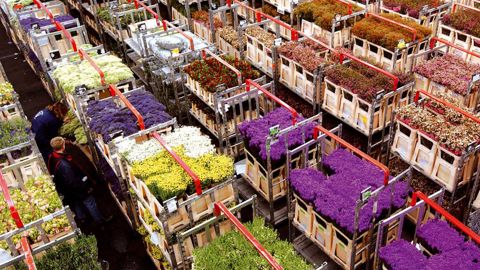 Les Pays-Bas affichent une progression des exportations de plus de 5 % pour l'année 2010.