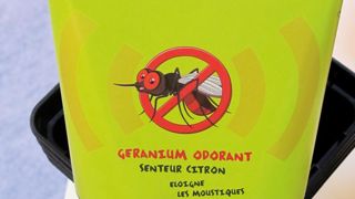 Modèle de pot IML (In-Mould Labelling ou étiquetage dans le moule) présenté par DGCrea sur son stand au Salon du végétal. Modèle de pot IML (In-Mould Labelling ou étiquetage dans le moule) présenté par DGCrea sur son stand au Salon du végétal.