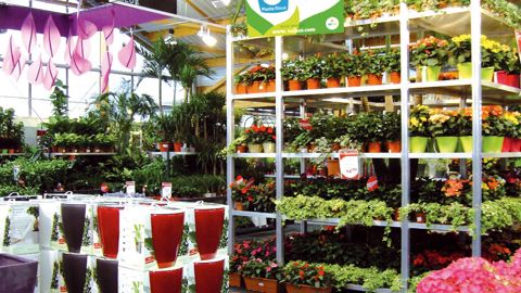 Le label Plante Bleue doit permettre de valoriser les productions horticoles et de pépinière respectueuses de l'environnement sur les points de vente.
