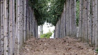 Selon des estimations de la FNPHP, environ les deux tiers des achats de végétaux des collectivités de l'Hexagone sont produits hors de notre territoire. Selon des estimations de la FNPHP, environ les deux tiers des achats de végétaux des collectivités de l'Hexagone sont produits hors de notre territoire.