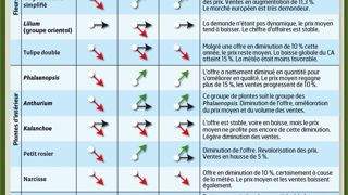 Avec + 7 % d'exportations des Pays-Bas vers la France à l'issue des trois premiers mois de 2011 par rapport à 2010, le marché français reste porteur... pour le leader européen.