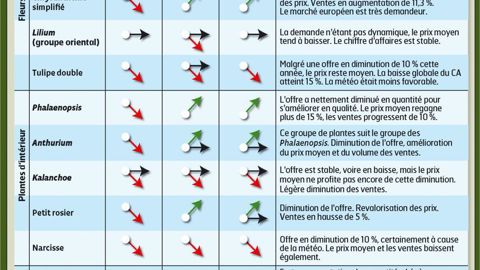 Avec + 7 % d'exportations des Pays-Bas vers la France à l'issue des trois premiers mois de 2011 par rapport à 2010, le marché français reste porteur... pour le leader européen.