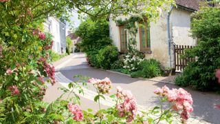Grâce aux nombreux rosiers qui émaillent les rues, Chédigny est devenu un village très touristique qui attire aussi de nouveaux habitants.PHOTO : MARLÈNE MICHEL VEIGA 