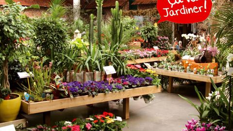 Depuis le début de la saison, les quatorze jardineries du réseau ont installé les différents supports du « kit marketing végétal » dans l'esprit de l'accroche « Ça va jardiner ! », qui signe la communication de l'enseigne.PHOTO : PATRIK GLÉMAS