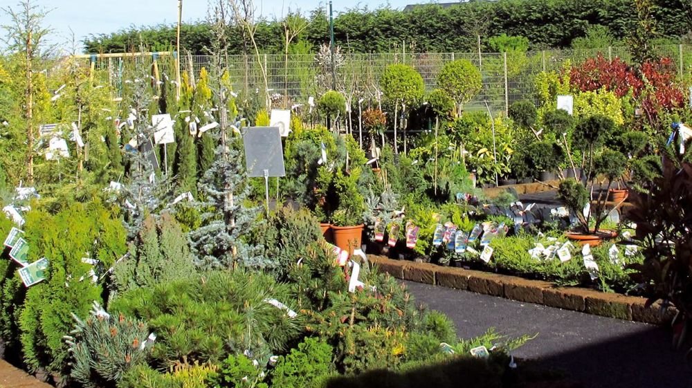 Botanic a ouvert son soixantième magasin à Sargé-lès-le-Mans, dans la Sarthe, le plus à l'ouest du territoire français. Botanic a ouvert son soixantième magasin à Sargé-lès-le-Mans, dans la Sarthe, le plus à l'ouest du territoire français.