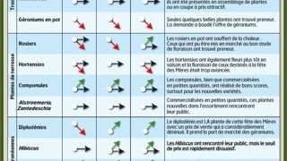 Les ventes ont été meilleures en zone rurale qu'en zone urbaine, et ce sont surtout les petits prix qui ont été demandés.