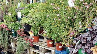 Diriger« Nous avons le respect de nos partenaires et la passion du végétal », souligne Stéphane Drecq, gérant de J'DEA. Diriger« Nous avons le respect de nos partenaires et la passion du végétal », souligne Stéphane Drecq, gérant de J'DEA.