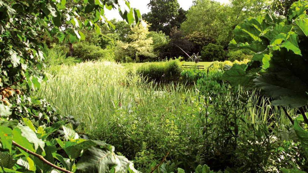 Les jardins des Renaudies, à Colombiers-du-Plessis proposent, sur un peu plus de 4 hectares, une palette végétale très large, intéressant un public diversifié. Les jardins des Renaudies, à Colombiers-du-Plessis proposent, sur un peu plus de 4 hectares, une palette végétale très large, intéressant un public diversifié.