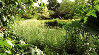 Les jardins des Renaudies, à Colombiers-du-Plessis proposent, sur un peu plus de 4 hectares, une palette végétale très large, intéressant un public diversifié.