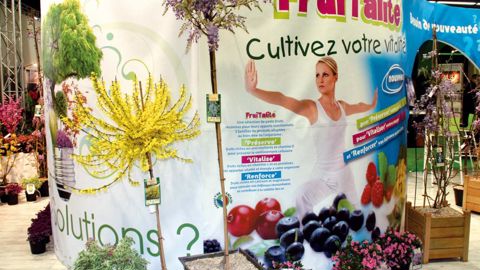 Vitaliser, préserver, renforcer : trois fonctions pour la sélection de petits fruitiers des pépinières Minier regroupés dans la gamme FruiTalité.