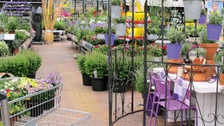 Scénariser l'offre, proposer des kits, des ateliers pour redonner aux consommateurs les gestes et savoir-faire, telles sont les pistes proposées pour faire venir les 20/40 ans dans les jardineries.PHOTO : ODILE MAILLARD