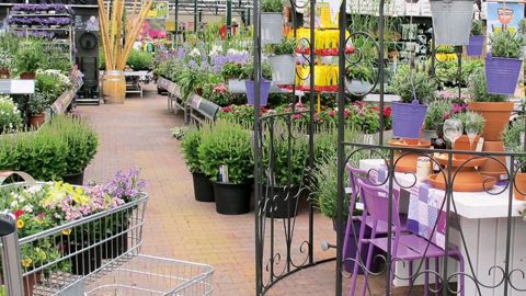 Scénariser l'offre, proposer des kits, des ateliers pour redonner aux consommateurs les gestes et savoir-faire, telles sont les pistes proposées pour faire venir les 20/40 ans dans les jardineries.PHOTO : ODILE MAILLARD