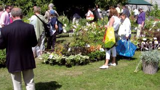 Les foires aux plantes restent le moyen le plus efficace pour présenter la richesse des gammes et la qualité des plantes, comme ici, à Courson, au printemps 2011.