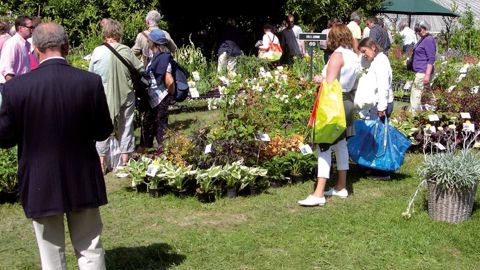 Les foires aux plantes restent le moyen le plus efficace pour présenter la richesse des gammes et la qualité des plantes, comme ici, à Courson, au printemps 2011.