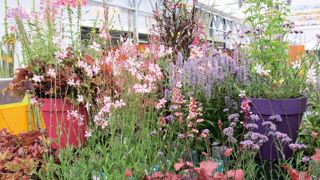 Groen-Direkt propose aux acheteurs en gros une plate-forme d'achats physique et divers modes de commande : sur place ou à distance, en relationnel direct avec le producteur ou en autonomie, avec un bon de commande papier ou des outils numériques. Groen-Direkt propose aux acheteurs en gros une plate-forme d'achats physique et divers modes de commande : sur place ou à distance, en relationnel direct avec le producteur ou en autonomie, avec un bon de commande papier ou des outils numériques.