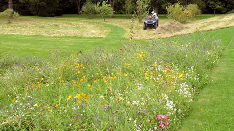 Le jardin de Pange, très ouvert sur la campagne environnante, fait la part belle aux prairies fleuries. Certaines d'entre elles ont dû être transformées en simples prairies, fauchées deux fois par an, faute d'avoir pu pérenniser les couverts, d'autres se sont transformées et ont prospéré.