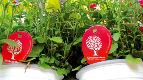 Neuf producteurs normands se sont engagés à identifier tout ou partie de leur production sous la marque régionale « L'évidence Verte ».