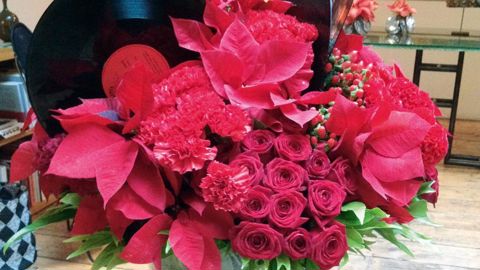 Le Poinsettia est la star des fêtes de fin d'année 2015. Ici mis en scène lors de la conférence de presse du lancement de l'opération de promotion européenne Stars for Europe, le 15 octobre.PHOTO : FRANÇOIS ARNOULD