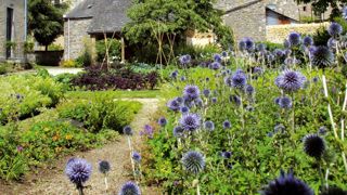 Le coût du fleurissement est un sujet qui intéresse les gestionnaires depuis plusieurs années, au même titre que les coûts des espaces verts en général. L'évolution de ces coûts est intimement liée à l'évolution des pratiques, d'où l'intérêt de l'enquête, complète, menée par l'ARF. Le coût du fleurissement est un sujet qui intéresse les gestionnaires depuis plusieurs années, au même titre que les coûts des espaces verts en général. L'évolution de ces coûts est intimement liée à l'évolution des pratiques, d'où l'intérêt de l'enquête, complète, menée par l'ARF.