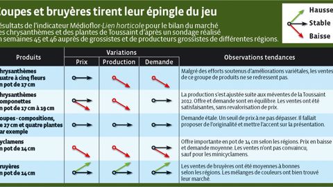 La vente des chrysanthèmes multifleurs et pomponettes s'est bien déroulée, malgré des conditions de ramassage difficiles dans le Nord en raison des fortes pluies et de quelques floraisons avancées dans le Sud pour cause de forte chaleur.PHOTO : ODILE MAILLARD