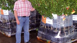 Daniel Antoine a repris les pépinières Poustousol en 2008. Objectif : poursuivre le développement de l'entreprise sur place.