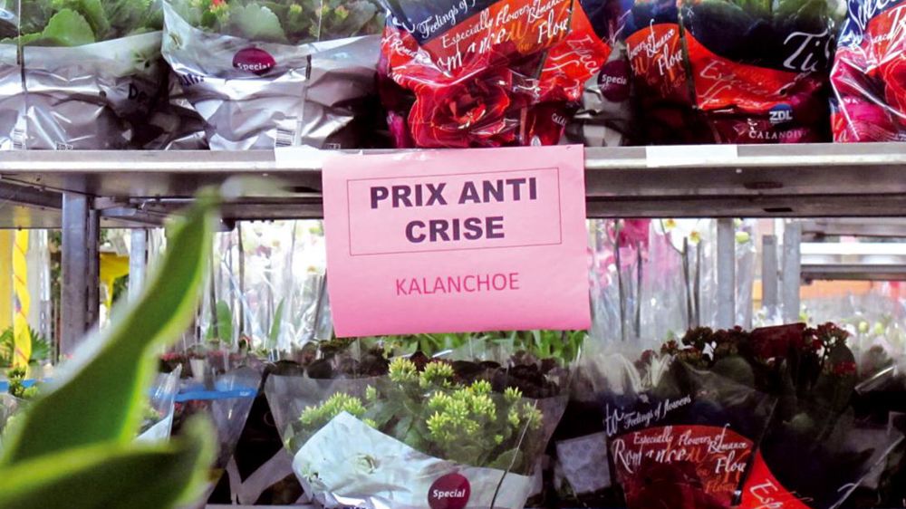 Diminution de la marge.Marc Hector, le responsable du cash de Gigean, propose des prix « anticrise » pour une clientèle dont le panier moyen diminue. Diminution de la marge.Marc Hector, le responsable du cash de Gigean, propose des prix « anticrise » pour une clientèle dont le panier moyen diminue.