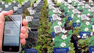 Il faut garder à l'esprit la familiarité des jeunes avec le mobile, qui constitue un canal de marketing crucial.PHOTO : FRANCIS GINESTET