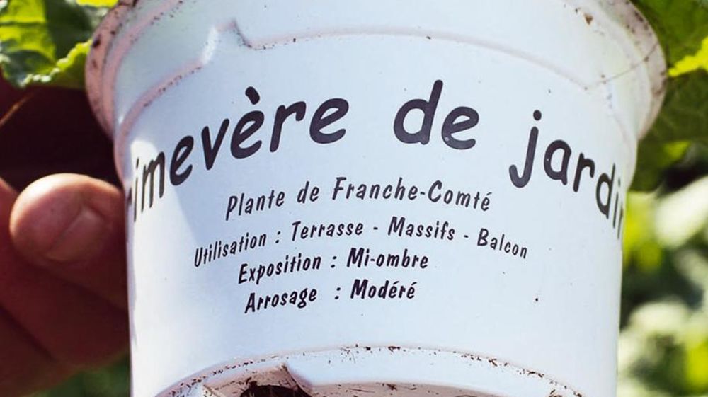 L'entreprise Courbet marque déjà l'origine de ses produits. Les autres producteurs de la région vont pouvoir la rejoindre via la démarche horticole « Essentielle Plantes de Franche-Comté ». L'entreprise Courbet marque déjà l'origine de ses produits. Les autres producteurs de la région vont pouvoir la rejoindre via la démarche horticole « Essentielle Plantes de Franche-Comté ».