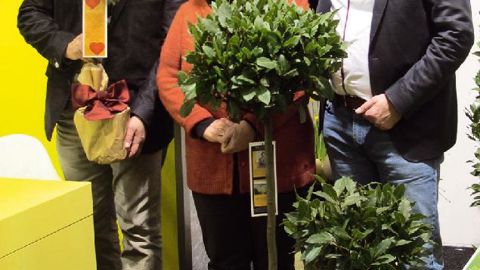 « En une génération, notre pépinière Gova est passée de l'antique laurier classique aux concepts marketing pour plantes de décoration contemporaine », soulignent Charl et Jack Goossens, ici en compagnie de leur mère, Nelly Van Aert, qui était installée avec Harry Goossens, son époux, avant de passer le relais à ses enfants.