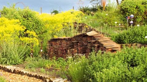 Un jardin créé par un producteur pour mettre en valeur ses produits. L'idée existe en bien des endroits mais reste sous-utilisée. Les gens payent 4 euros pour venir piocher des idées à Binningen.