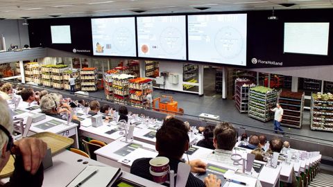 Mises en place après-guerre aux Pays-Bas pour centraliser l'offre et la demande, les coopératives de vente au cadran ont facilité la croissance et la spécialisation de la production, ainsi que le développement d'un commerce de gros structuré.