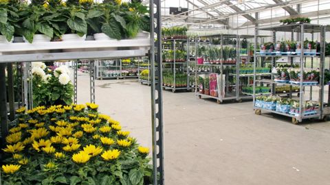 Nos importations de plantes d'intérieur (240,5 millions d'euros) proviennent à 67 % des Pays-Bas et à 17 % de Belgique (ici chez un grossiste belge). Le déficit est de 232,9 millions d'euros, le taux de couverture de 3,1 %.