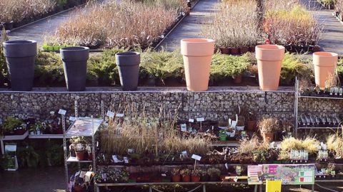 La Sonofep propose 15 000 références de végétaux, tant pour les professionnels que pour les particuliers.