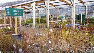 Le succès de Nalod's repose en partie sur le pari de faire du végétal le fer de lance de son activité. Les membres de l'équipe de la centrale viennent du monde du végétal ou de la production.