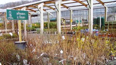 Le succès de Nalod's repose en partie sur le pari de faire du végétal le fer de lance de son activité. Les membres de l'équipe de la centrale viennent du monde du végétal ou de la production.