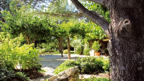 Les jardins de particuliers sont évocateurs de « tranquilité », « plaisir » et « bien-être ». Malgré des valeurs vertes consensuelles, l'individu y puise avant tout un bénéfice personnel.