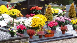 La Toussaint s'est déroulée dans la droite ligne de l'automne 2012 : ventes chaotiques, climat peu favorable et clients recherchant les prix bas.PHOTO : FRANCIS GINESTET