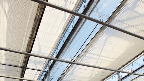 PHOTOS : VALÉRIE VIDRIL (CI-CONTRE) ET PASCAL FAYOLLE (CI-DESSUS)