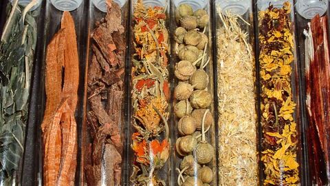 Fragments végétaux : selon les plantes, les principes colorants sont extraits des racines, des feuilles, des fruits, de l'écorce, du bois...PHOTO : ARRDHOR