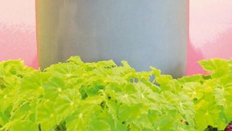 PHOTO : ODILE MAILLARD