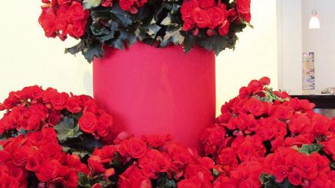 PHOTO : ODILE MAILLARD