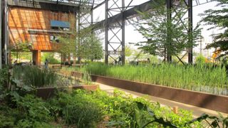 photos : IN SITU PAYSAGES ; P.Fayolle