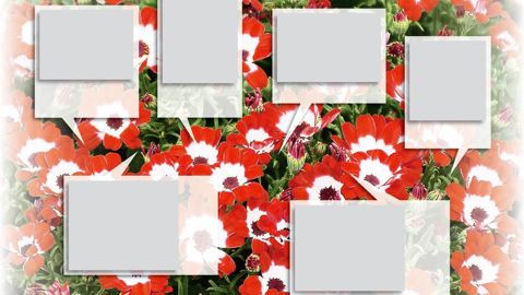 Feutrage blanc farineux à la face supérieure d'une feuille dû à l'oïdium.PHOTO : JÉRÔME JULLIEN